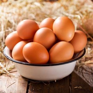 Fresh 동물복지란 난각2번 유정란 40구 계란 달걀