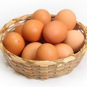 [다온푸드]난각번호1번 무항생제 유정란 60구