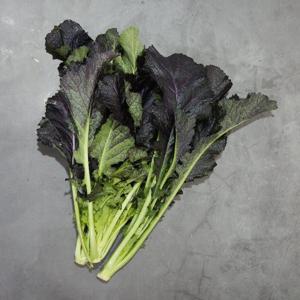 당일수확 알싸한 홍갓 2kg