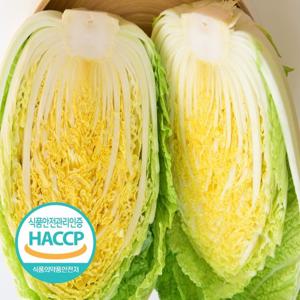 [예약판매] 해썹인증 해남 절임배추 10kg 3-5포기 절인 김장 김치 PLS