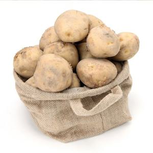 국내산 포슬포슬 햇 감자 10kg / 대