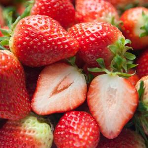 [맛군] 25년 수확 새콤달콤 햇 설향딸기 특과 700g내외 (20-30구내외)