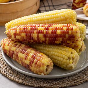 찐 홍찰옥수수 20개 특대사이즈(14~15cm) / 급냉
