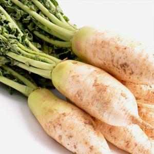 [익산원예농협] 국내산 무청 다발무 8kg