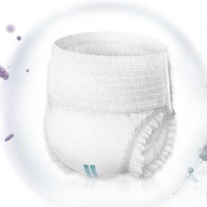 노인 기저귀 팬티형 1팩 10매 어른 어르신 대형 WFHDBI3