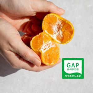서귀포 GAP인증 AI당도선별 노지 하우스 감귤 3kg 로얄과 S M 맛있는 올레길 감귤 산지직송 제철 과일 LD