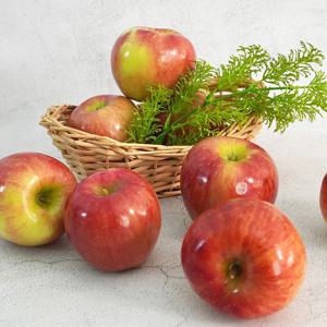 [더조은] 아리수 사과 가정용 5kg 29-33과