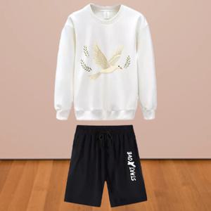 남성 세트 가을 빠른 건조 도브 올리브 프린트 그래픽 티셔츠 세트 남성 스포츠 세트 스포츠웨어 긴팔 티셔츠 + 반바지