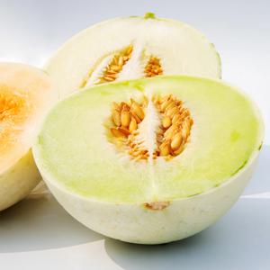 캘리포니아 고당도 허니듀 멜론 2/3/4수 개당 1.8kg