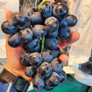 포도 2kg