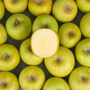 시나노골드 가정용 2kg~ 새콤달콤 단맛과 신맛의 조화 상쾌한 맛이 일품! 국내산 경상북도