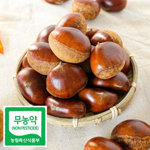 국내사 무농약 알밤 햇밤 1kg