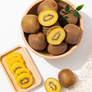 [더조은] 달콤한 국내산 골드키위 대 2kg 19-23과