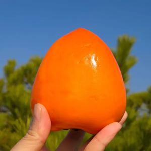 [착한가격] 가성비 달달한 국내산 대봉감 / 홍시 / 곶감용 2kg 3kg