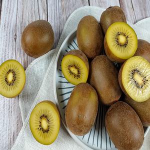 국내산 전라남도 보성군 골드키위 고당도키위 2kg
