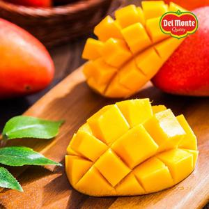 [델몬트 브랜드스토어] 고당도 애플망고 실속세트