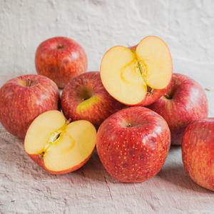 [더조은] 알뜰 꿀사과 부사사과 3kg 흠과 19-21과