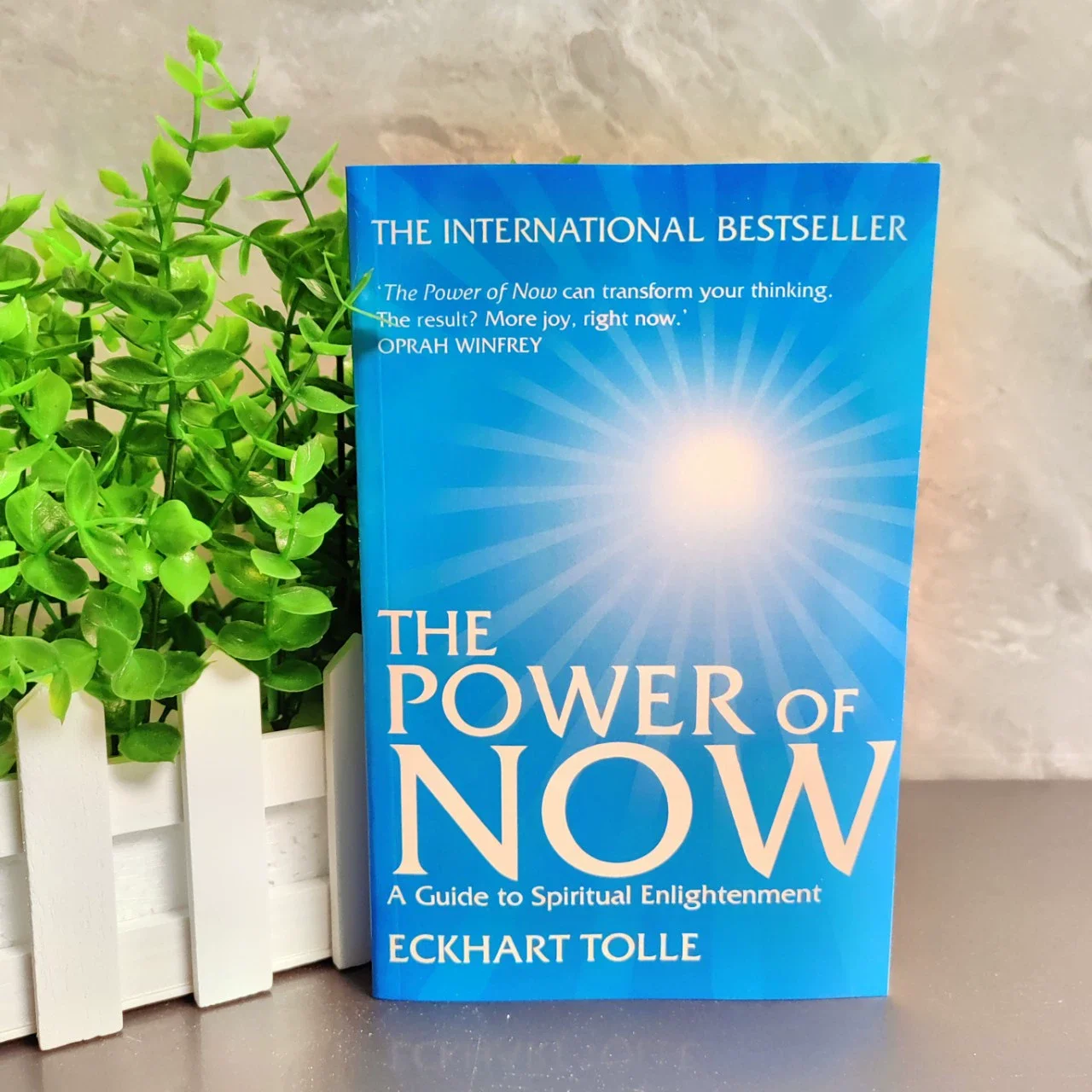 2025년 새로운 The Power of Now 작성자: Eckhart Tolle 영적 깨달음에 대한 안내서 영어 도서