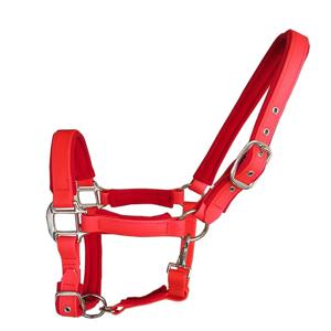 2025 말 고삐 PVC 소프트 패딩 헤드 스톨 헤드 칼라 승마 액세서리 인체 공학적 편안한 고삐