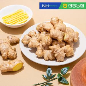 [안동농협] 품질보장 농협 흙 생강10kg