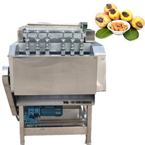 캐슈넛 껍질 제거기 과일 가공 로스팅 기계용 껍질 제거기