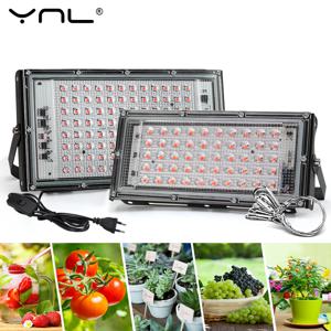 전체 스펙트럼 LED 성장 빛 Phyto 램프 AC 220V 50W 100W 150W 온실 수경 식물 성장 조명에 대 한 EU 플러그
