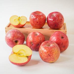 [더조은] 알뜰 꿀사과 부사사과 5kg 흠과 12-16과
