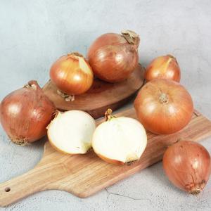 [더조은] 전남무안 싱싱 햇 양파 대 5kg