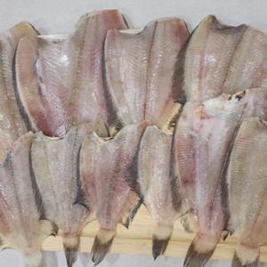 [푸디앤] 국내산 두절 반건조가자미1kg(9~12미내외)/손질후 반건조 급냉 신선도 보장!