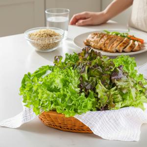 친환경 프레시 유러피안 모둠 샐러드 1kg