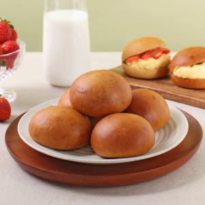 단슐랭 구르미빵 프로틴 단백질 모닝 빵