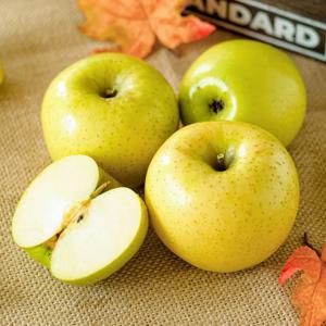 장성 시나노골드 사과 정품 5kg 크기별 선택 / 실속포장