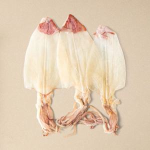 마른한치 건한치 화살오징어 구이 건어물 맥주안주 소스3종 포함