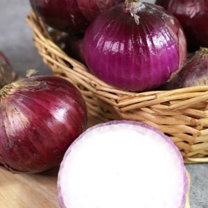 [더조은] 무안 자색양파 10kg (미니소)