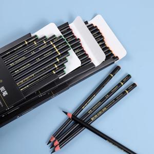 초보자 및 예술가를 위한 드로잉, 스케치, 음영, 아티스트 연필을 위한 12PCS 전문 숯 연필