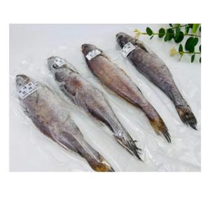 [푸디앤] 국내산 반건조 손질 민어 / 깔끔한 손질 밑간 1미씩 소분포장 / 찜 구이 조림 다양한 활용