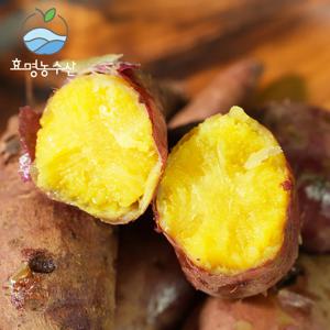 ★2025햇꿀고구마★해남 산지직송 꿀고구마(베니하루카) 3kg/5kg/10kg