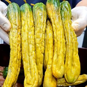 [푸디앤] 오이지 500g / 오이소박이 1kg / 오독오독, 꼬들꼬들 식감의 밥도둑 오이지 / 아삭한 오이소박이