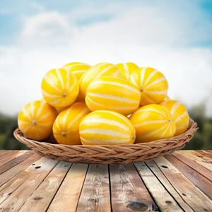 산지직송 성주참외 못난이 특상품 참외