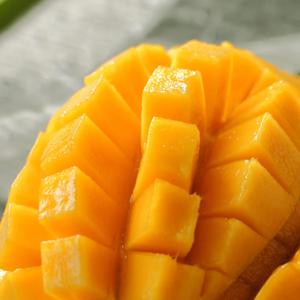 [무첨가 100%] 베트남산 아이스망고 하프컷팅