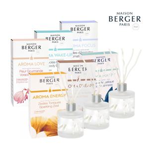 메종베르제 아로마 센티드부케 디퓨저 180ml