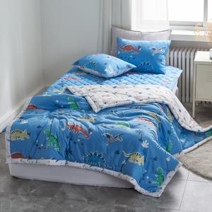 [아방데코] 다이노 초극세사 알러지케어 키즈 점프차렵이불S