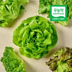 팜스프링 무농약 유럽 샐러드 채소 유러피안 쌈채소 1kg 2kg