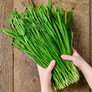 국내산 싱싱한 부추 1kg 2kg