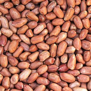 땅콩 국내산 여주 볶은땅콩 300g 500g 1kg