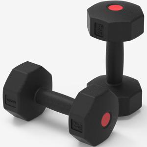 블랙팔각 덤벨 아령 2kg 2개 아령세트 웨이트 운동