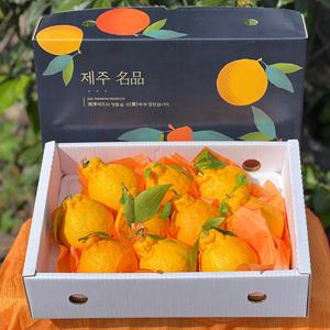 [산지직송] 제주 돌담 한라봉 선물용 2.5kg / 4.5kg