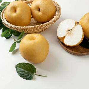 25년 햇 나주배 가정용/특품 3kg 5kg 15kg 산지직송