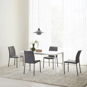[추가쿠폰] 세계가구 두아즈 6인 스키니 세라믹 식탁세트 의자4