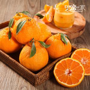 제주 고당도 한라봉 1,5kg 중소과(8과내외) 외 과수별 중량별